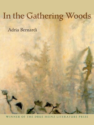 cover image of In the Gathering Woods